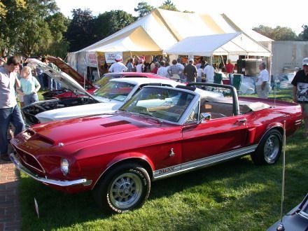 1968 Ford Mustang Shelby