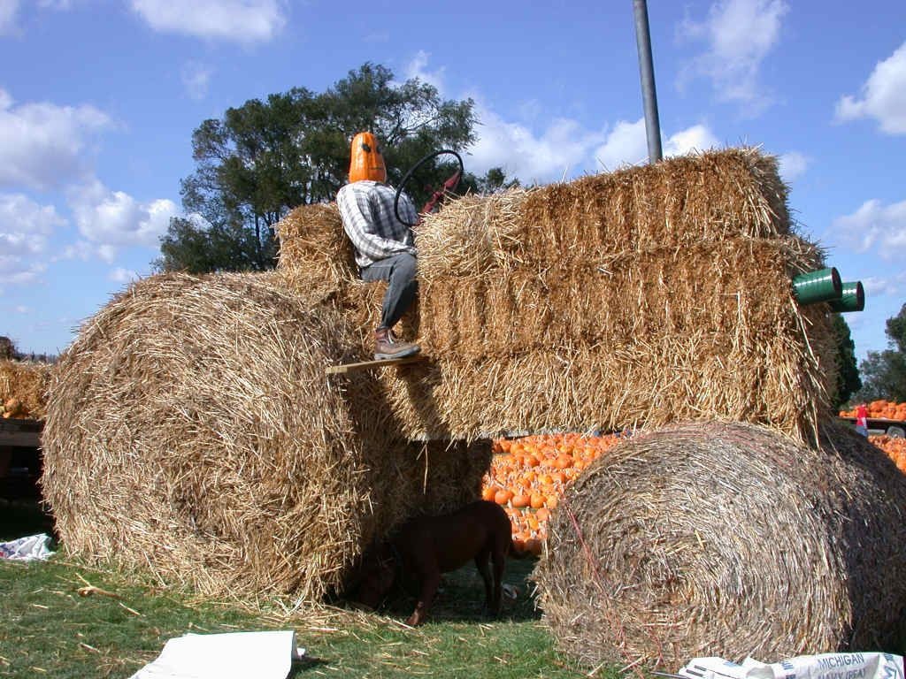 2003 Hay Straw